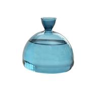 Jarrón de aguacate de cristal, jarrón transparente para plantas, jarrón hidropónico, jarrón de jarrón, jarrón, jarrón, aguacate, macetero, transparente, para los amantes del jardín