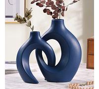 Jarrón de cerámica azul para decoración moderna del hogar, jarrón de flores huecas mate para hierba de las pampas, decoración bohemia, juego de 2 jarrones para mesa de café, oficina