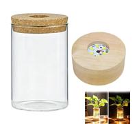 Jarrón de Cristal con luz LED para Flores,2 jarrones iluminados de Cristal LED para Flores, estación de propagación de Plantas con Base de Madera,hidropónica, estación de propagación para (1pcs)