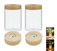 Jarrón de Cristal con luz LED para Flores,2 jarrones iluminados de Cristal LED para Flores, estación de propagación de Plantas con Base de Madera,hidropónica, estación de propagación para (2pcs)