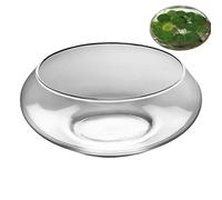 Jarrón de cristal para pecera, maceta de bonsái hidropónico, cuenco transparente poco profundo para peces hidropónicos, para decoración del hogar, interior, flores, bonsái, suculentas, centros de mesa