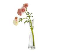 Jarrón de flores pequeño transparente, mini boca, jarrón de un solo tallo, botellas decorativas para bodas, fiestas, decoración del hogar, centro de mesa, sala de estar, oficina, decoración de 20 cm