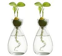 Jarrón de iniciación de semillas de aguacate, 2 unidades, hidropónico, planta hidropónica, terrario para amantes de las plantas, decoración de mesa de oficina en casa, plantas acuáticas o flores