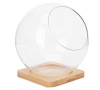 Jarrón de Musgo DIY Redondo de Vidrio Inclinado, 1 Juego | Acabado Liso, Tono Caqui Base de Madera, Uso Doméstico y Comedor, Pieza Decorativa para Terrario
