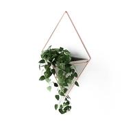 Jarrón de pared y decoración geométrica Umbra Trigg, maceta para plantas de interior, suculentas, plantas aéreas, cactus, plantas artificiales y más, concreto/cobre, grande, 1 pieza