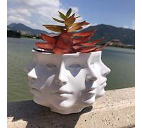 Jarrón de Plantas suculentas de Cara pequeña, jarrón para decoración del hogar, Cactus suculentos, Maceta para Plantas de Interior