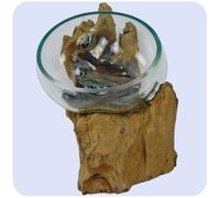 Jarrón De Vidrio De Raíz De Tejo, Decoración, Regalo, Cuenco