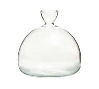 Jarrón de Vidrio de Semillas de Aguacate, Maceta hidropónica, Maceta de pequeño Transparente, diseño, jarrones Resistentes al Calor, Maceta para enraizamiento de Agua, aguacates