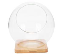 Jarrón de Vidrio Decorativo para Suculentas, Modelo DIY Redondo | Base de Madera, Superficie Lisa, Color Caqui, para Hotel y Otros Espacios