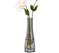 Jarrón de vidrio soplado hecho a mano con brotes de flores transparentes, jarrones de un solo tallo, jarrones de vidrio decorativos, fiestas, decoración del hogar y la oficina (gris)