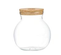 Jarrón Hidropónico de Vidrio, Estación de Propagación con Tapa de Madera | Vidrio de Borosilicato Alto, 6.3x7.09x6.3 Pulgadas, Agujero en la Tapa de Corcho para Pothos, Decoración de Jardín para