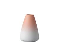 JarróN Miniatura para Flores Jarrón Retro Zen de Escritorio, hidropónico pequeño, Adorno Artesanal(Color-07)