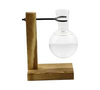 Jarrones de propagación para plantas, estación de propagación del agua - Estación de propagación clara con estupendo de madera Tubo de ensayo Hidroponic Rack,Frascos de jarrón, recipiente hidropónico