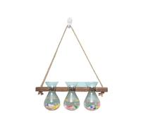 Jarrones Decorativos Modernos Jarrón de Cristal Transparente for Pared, Colgante, for Plantas hidropónicas, decoración for el hogar, Adorno for Sala Estar(Color01)