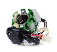 JASMKLX Bobina de estátor magnético for generador de Motocicleta, 32101-36F10, Compatible for Suzuki RM 125, 2002, 2003, 2004, RM125