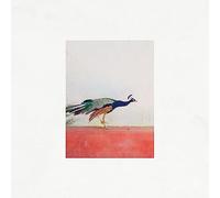 Jason Singh & The Banwasi Collective - TRAVELLERS (PINK VINYL)