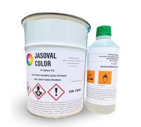 Jasoval Color Pintura Gel Coat para Piscinas de Fibra de Vidrio con Catalizador (Blanco, 10 kg)