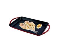 JATA GR53 PLANCHA HIERRO FUNDIDO metal