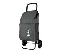 JATA HCAR2504 - Carro de la Compra 2 Ruedas. De 40L con Bolsa Refrigerante para Congelados. Carga hasta 30 kg. Bolsillos Laterales y Trasero. Chasis de Acero. Ligero