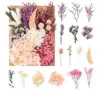 jatimdotin Flores Secas Naturales, Flores Secas Decoracion, Manualidades DIY, para Decoración Manualidades, Resina, Álbumes Recortes, Invitaciones de Boda (Rosa roja)