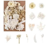 jatimdotin Flores Secas Naturales, Flores Secas Decoracion, Manualidades DIY, para Decoración Manualidades, Resina, Álbumes Recortes, Invitaciones de Boda (Blanco)
