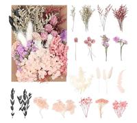jatimdotin Flores Secas Naturales, Flores Secas Decoracion, Manualidades DIY, para Decoración Manualidades, Resina, Álbumes Recortes, Invitaciones de Boda (Rosa)