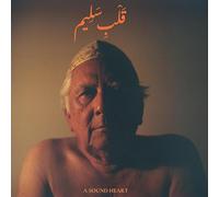Jaubi - A Sound Heart [Vinilo]