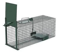 Jaula captura conejos pintada