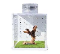 Jaula de Lagarto, cápsula de terrario de Animales pequeños, cúpula Transparente para Especies de árboles de Anfibios, Caja de cría de de alimentación con humidificador de luz, Caja de Tanque