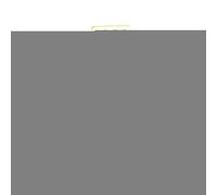 Jaula de viaje para pájaros, portador de pájaros transparente resistente al sol con asa, jaula pequeña para periquitos, conure, cacatúa, canario, pinza, sala de estar, balcón, parque interior