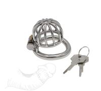 Jaula Minimalista de Hierro Forjado, exhibir en casa como para Fines Decorativos