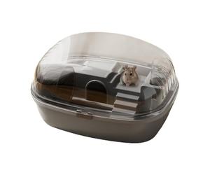Jaula para hámsters enanos - Caseta para animales pequeños, jaula transparente, hábitat espacioso, incluye rueda para ejercicios | creativos de larga duración El diseño fácil y garantiza la