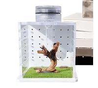 Jaula para lagartos, bañera para reptiles | Funda de rana transparente | hábitat de mantis religiosa, caja de alimentación de terrario para caracoles con humidificador ligero para araña