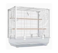 Jaula para pájaros Jaula de Lujo for Loros, diseño paisajístico, Grande y Transparente for cría Soporte de Jaula de Vuelo(Translucent)