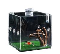 Jaula transparente para reptiles | Terrario transparente de araña saltarina de acrílico | Transportador de animales pequeños transparente de 360 grados para lagartos, escarabajos, tortugas y caracoles