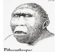 Java Man también conocido como Homo erectus erectus anteriormente también Anthropopithecus erectus y Pithecanthropus erectus. Del libro Outline of History de H.G. Wells publicado en 1920. Póster