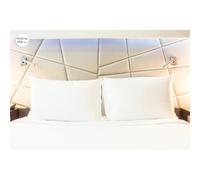 JAVIER LARRAINZAR Almohada 100% ALGODÓN Iris Premium Host 45 X 85 CM Pack 2