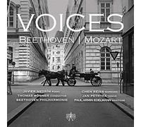 Negrin, Javier & Beethoven Philharmonie - Voices
