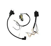 JAVON ET950 ET650 IE45 TG950 con Encendedor de Bobina de Encendido Magneto Apto for generador Tiger 450W 650W 800W 950W 1000W 2 Tiempos Módulo de bobinas de Encendido Magneto (Size : 3 pcs Kit)