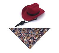 Javoryxh Viste A Tu Mascota En Cumpleaños Conjunto De Sombrero Y Pañuelo Accesorios Cosplay Gorros Cálidos Accesorios para Juegos rol Pañuelo Mascotas Perros Pequeños