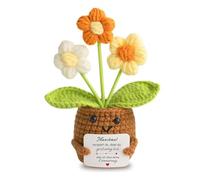 JAWAI Ramo de Flores de Ganchillo, Positiva Alemana Flor Positiva, Potato Positivo Muñeca de Flores Multicolor de Punto, Regalo de Agradecimiento para Mujeres, Hombres, Amigos, Colegas y Familiares