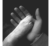 Jaws Of Love - Jaws Of Love