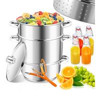 Jaxguom Exprimidor de vapor, 16 l, Ø26, acero inoxidable, incluye 4 botellas de planchado, adecuado para todo tipo de cocinas, zumo suave de frutas y verduras, apto para lavavajillas, color plateado