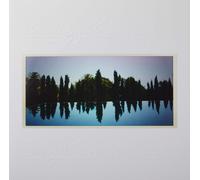 Jay Electronica A Written Testimony (Vinyl) (Importación USA)