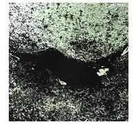 Jaye Jayle No Trail and Other Unholy Paths (Vinyl) 12" Album (Importación USA)