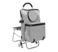 JAYEUW Carro de la compra plegable para escaleras con asiento de tela Oxford, con asiento de tela Oxford, carrito de arte con almacenamiento (plata)