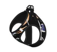 Jazz Drum Print - Juego de correa para gatos y perros, reflectante, ajustable, chaleco de malla suave transpirable con correa a prueba de escapes, para mascotas pequeñas y cachorros gatitos