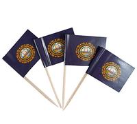 JBCD-021-State - Bandera para palillo de dientes 1.38" x 0.98''