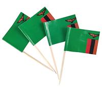 JBCD 200 piezas de palillos de dientes de la bandera de Zambia, decoraciones de cupcakes, banderas de palillos de cócteles, banderas de Zambia