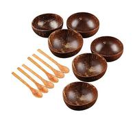 Jcevium Juego de cuencos de coco hecho a mano con cáscara de coco vajilla cuchara de madera postre ensalada de frutas tazón de mezcla de arroz Ramen Bowl 12 piezas